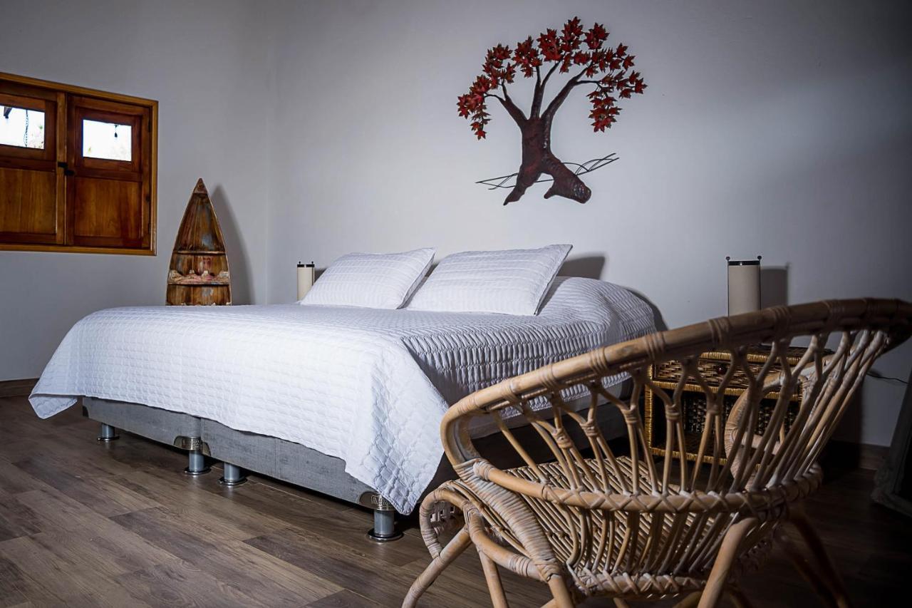 Eco Hotel Nativo Juan de Acosta Luaran gambar