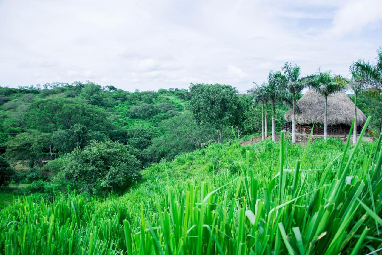 Eco Hotel Nativo Juan de Acosta Luaran gambar